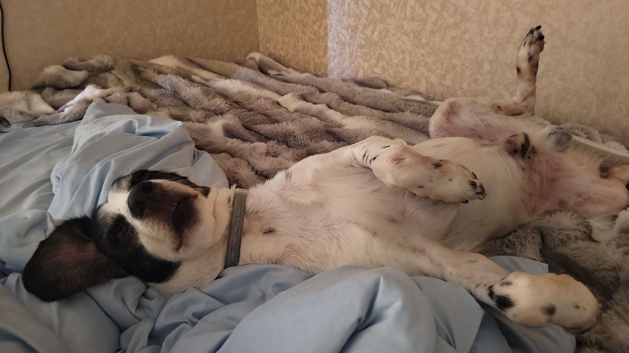 Кёртис спит