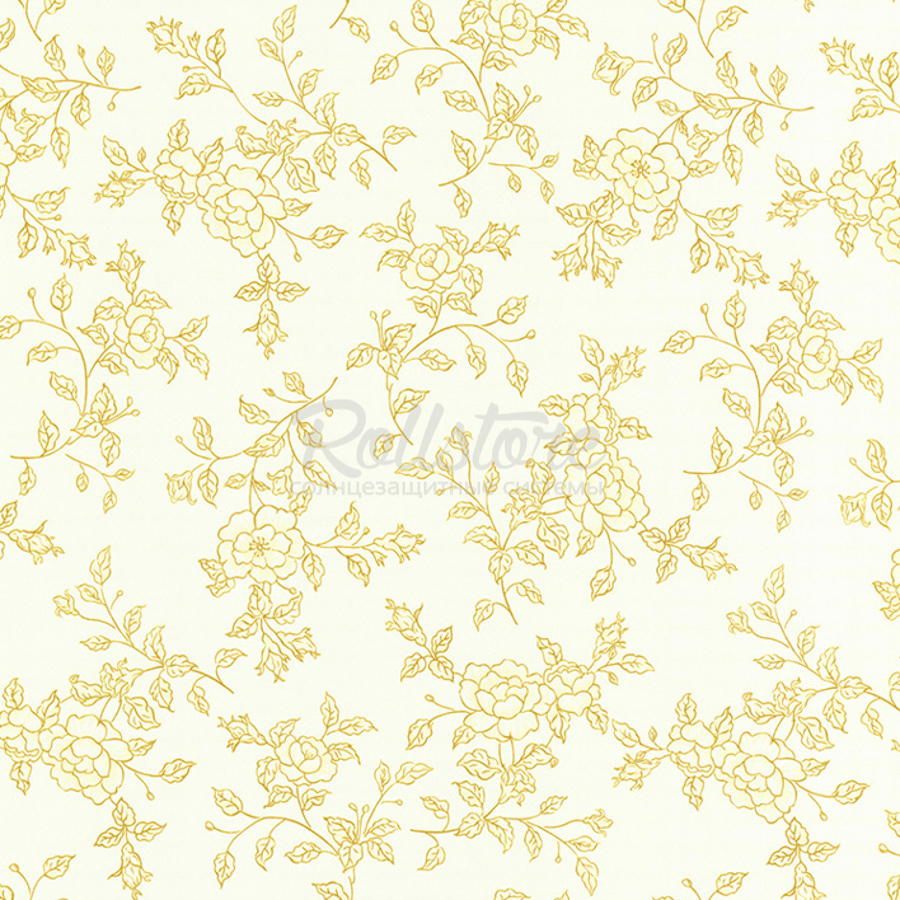 Анже апельсин