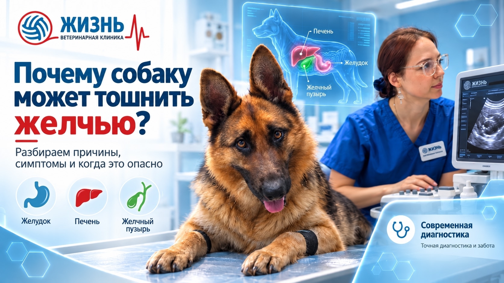 Рвота желчью у собак