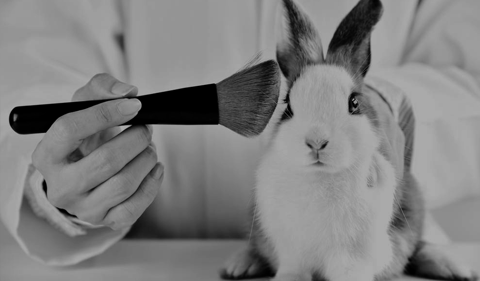 No Animal Testing Requirements for Imported Cosmetics in China