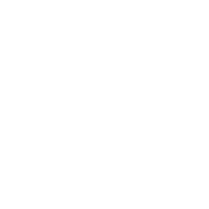 website icon