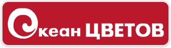 Цветочный магазин Океан цветов