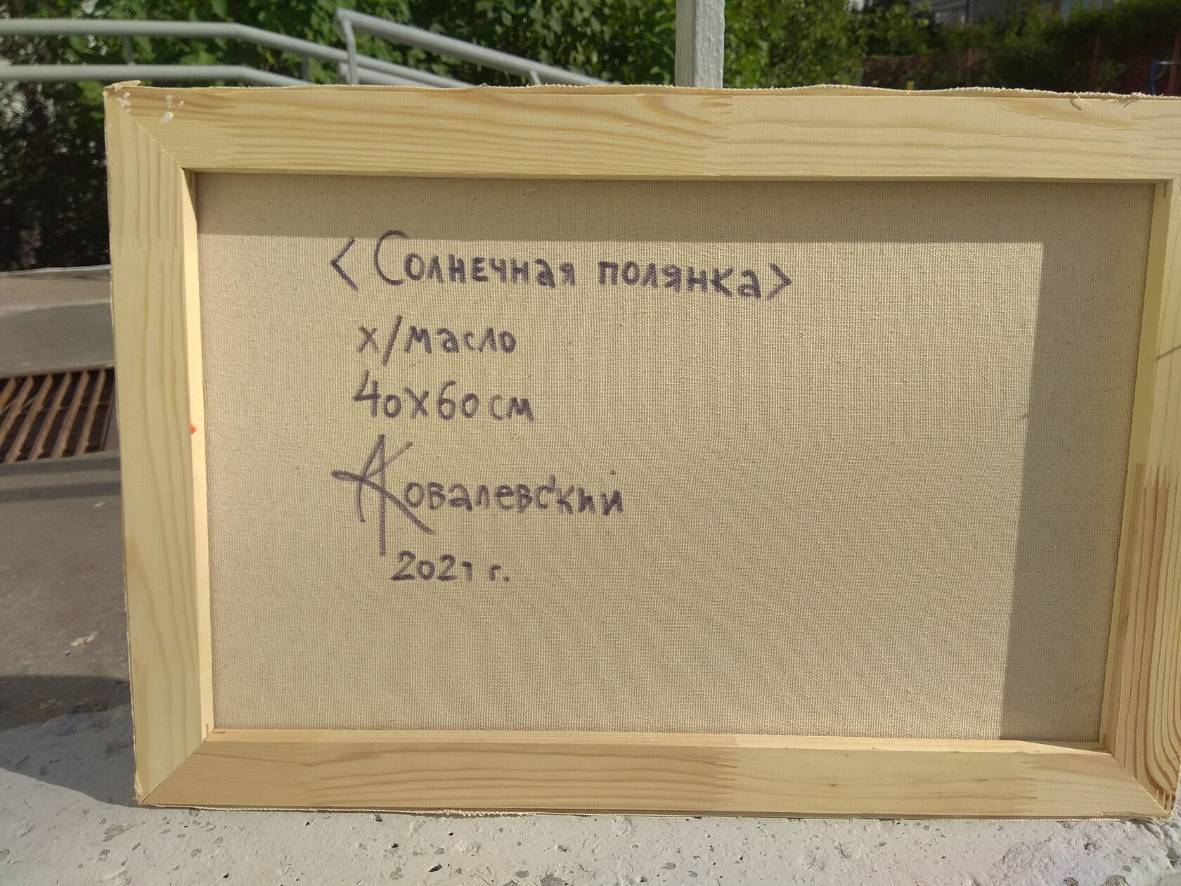 Прости за все солнечная поляна хватает музыка