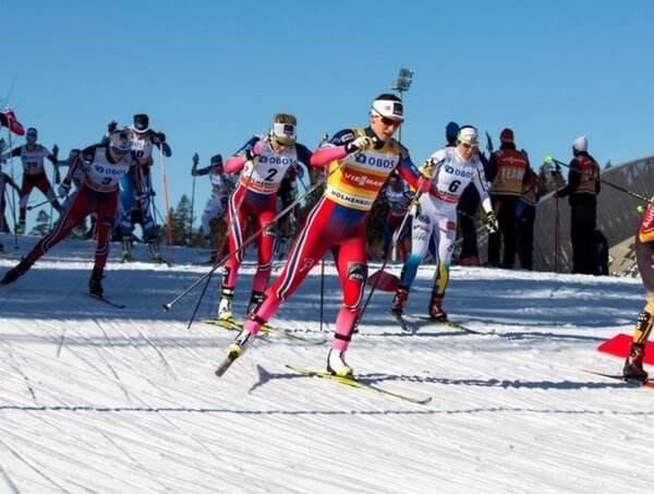 Организация по соревнованиям по лыжному спорту