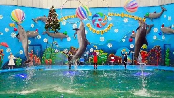 Дельфинарий Акварель в Алуште