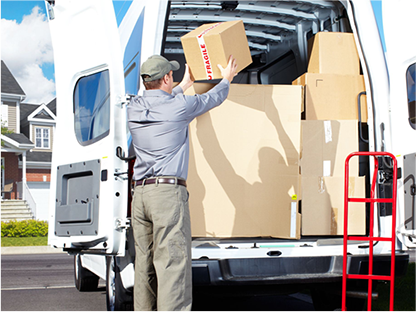  сухой сыр, сырный порошок