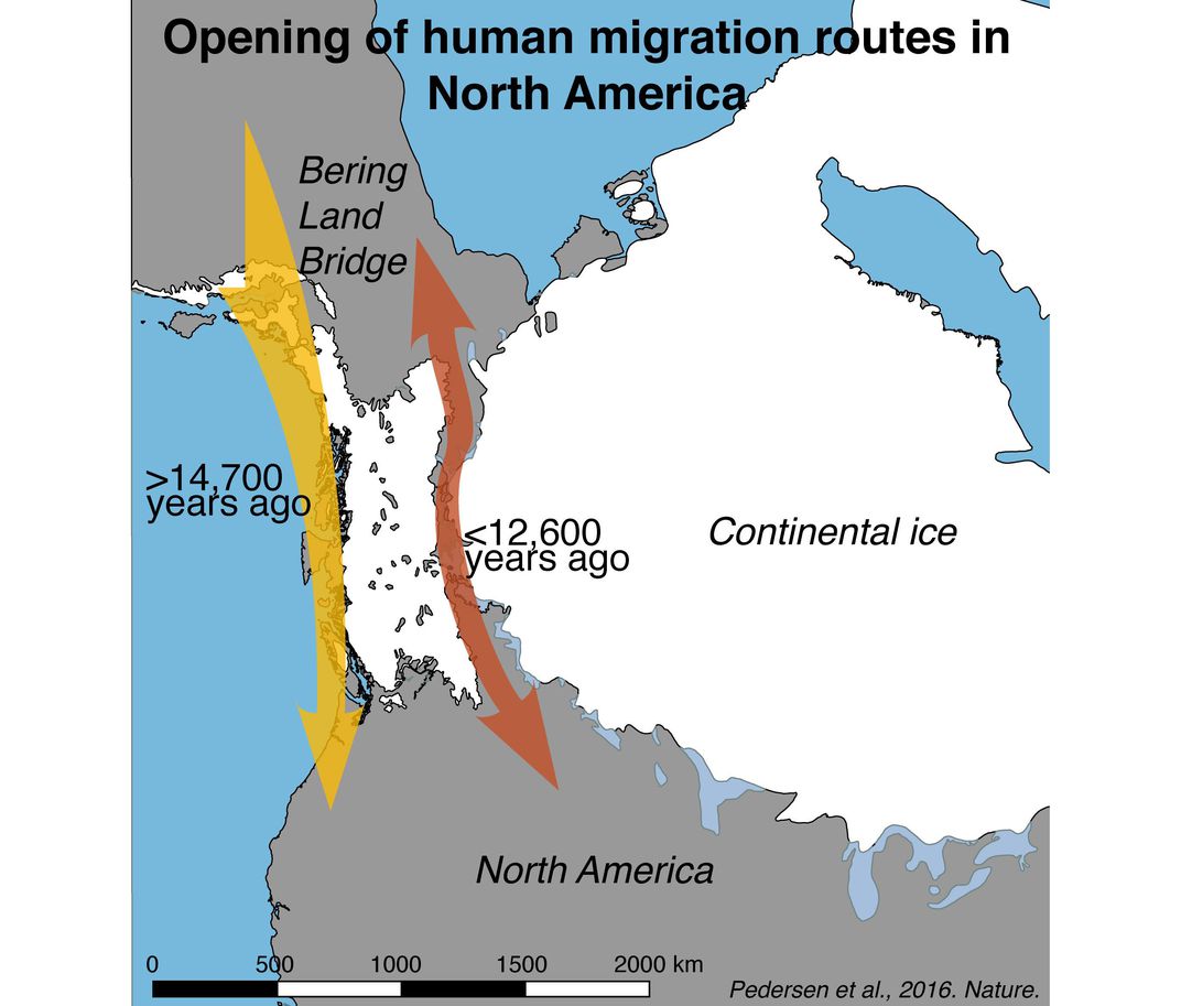 Иллюстрация к статье «Postglacial viability and colonization in North America’s ice-free corridor». Nature, 10.08.2016.