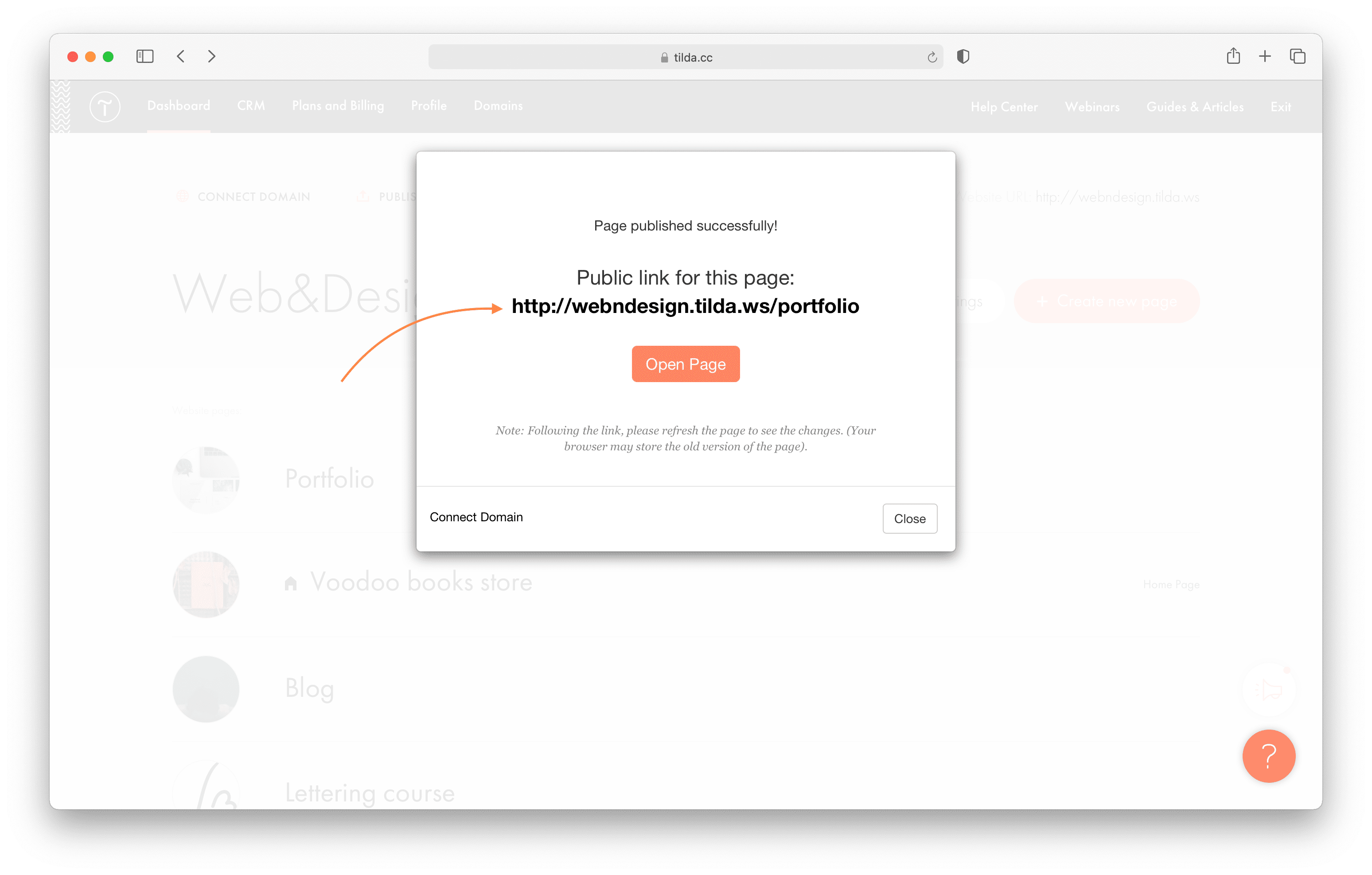 Page Publishing │ Tilda Help Center