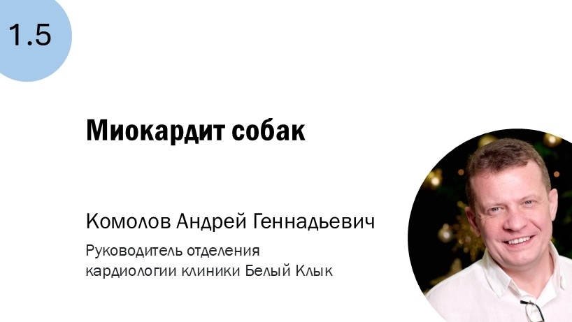 1.5 Миокардит собак
