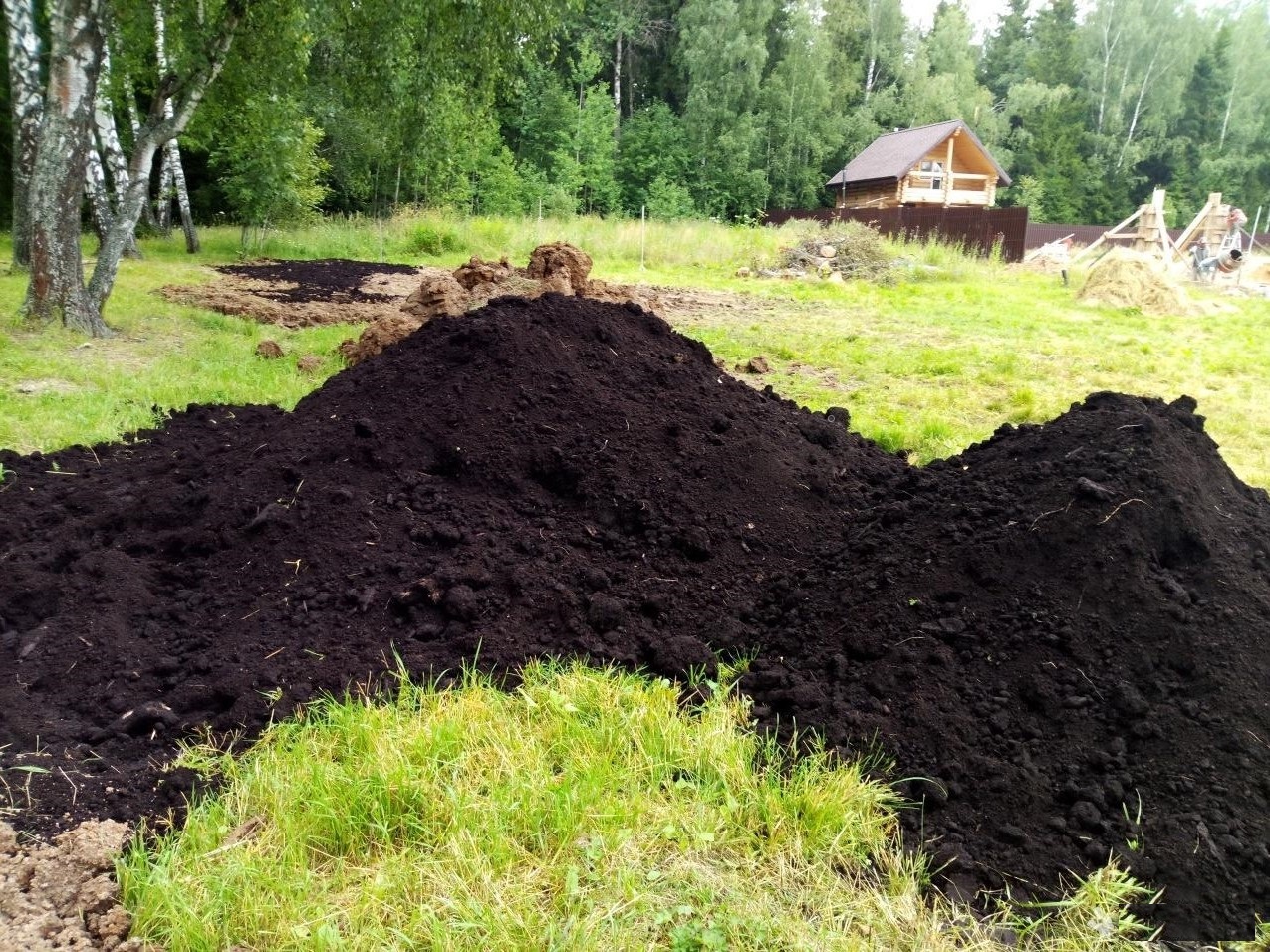 Купить чернозем в Санкт-Петербурге и Ленинградской области