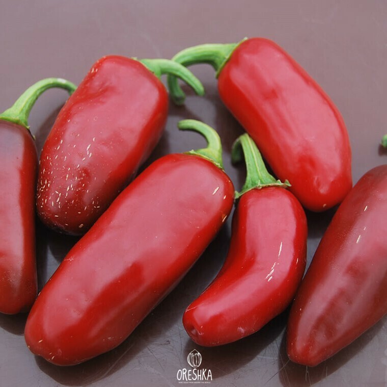 Seeds of Hot pepper Fingers (Capsicum) — 5 pcs