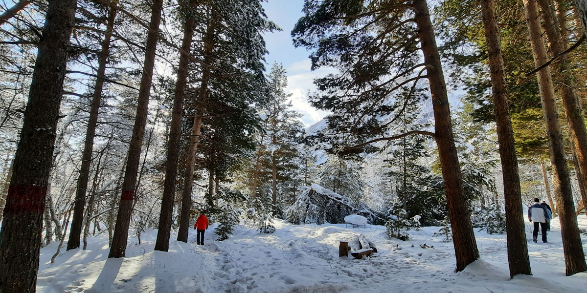 Погода терскол на 10 дней