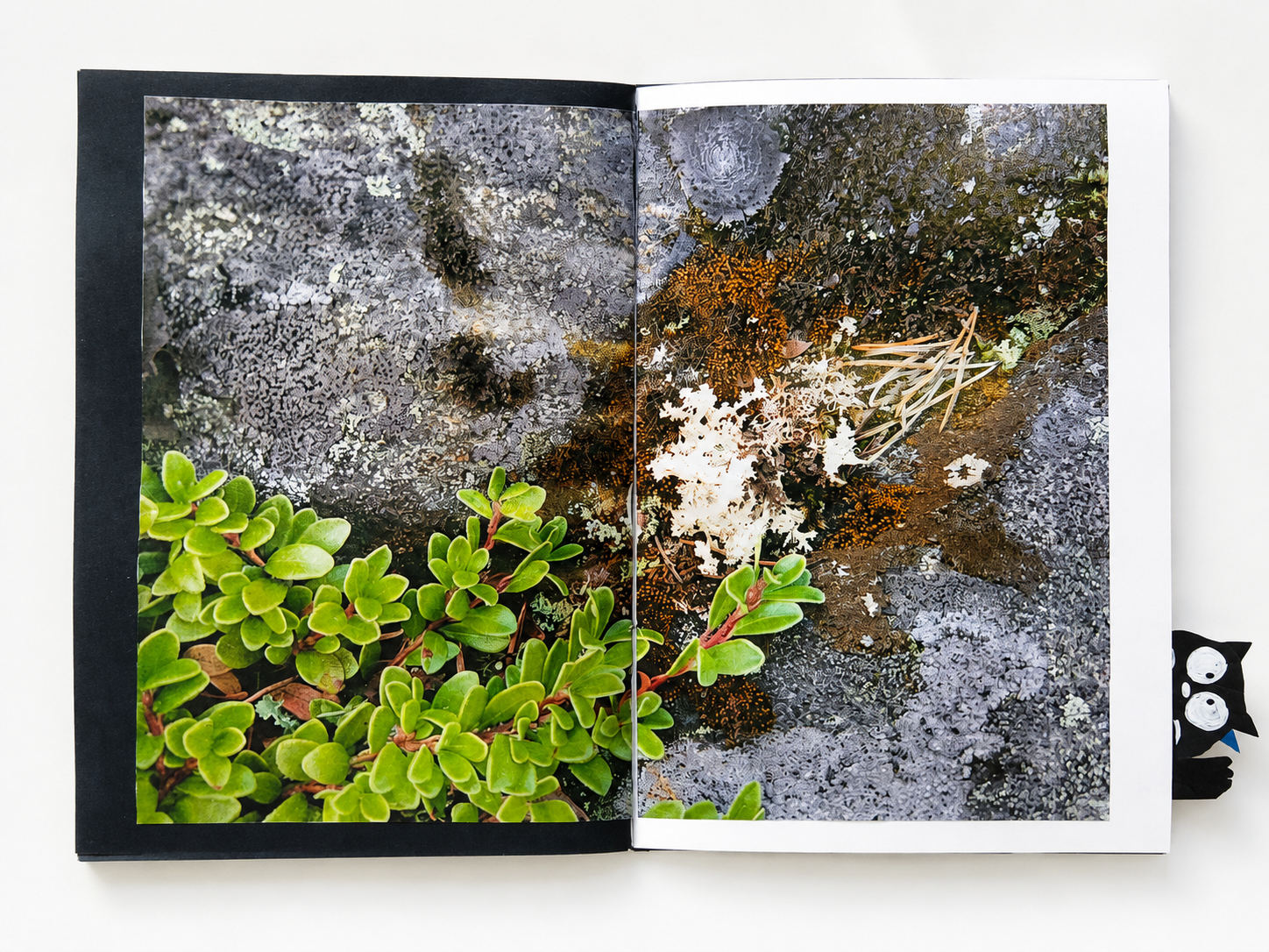 Deep Ocean