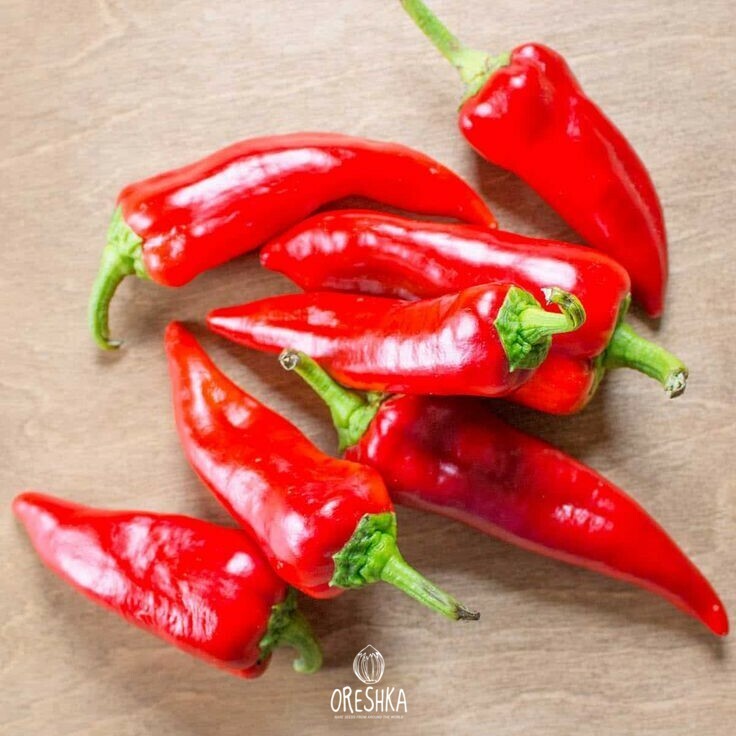 Seeds of Hot pepper ONZA Roja (Capsicum) — 5 pcs