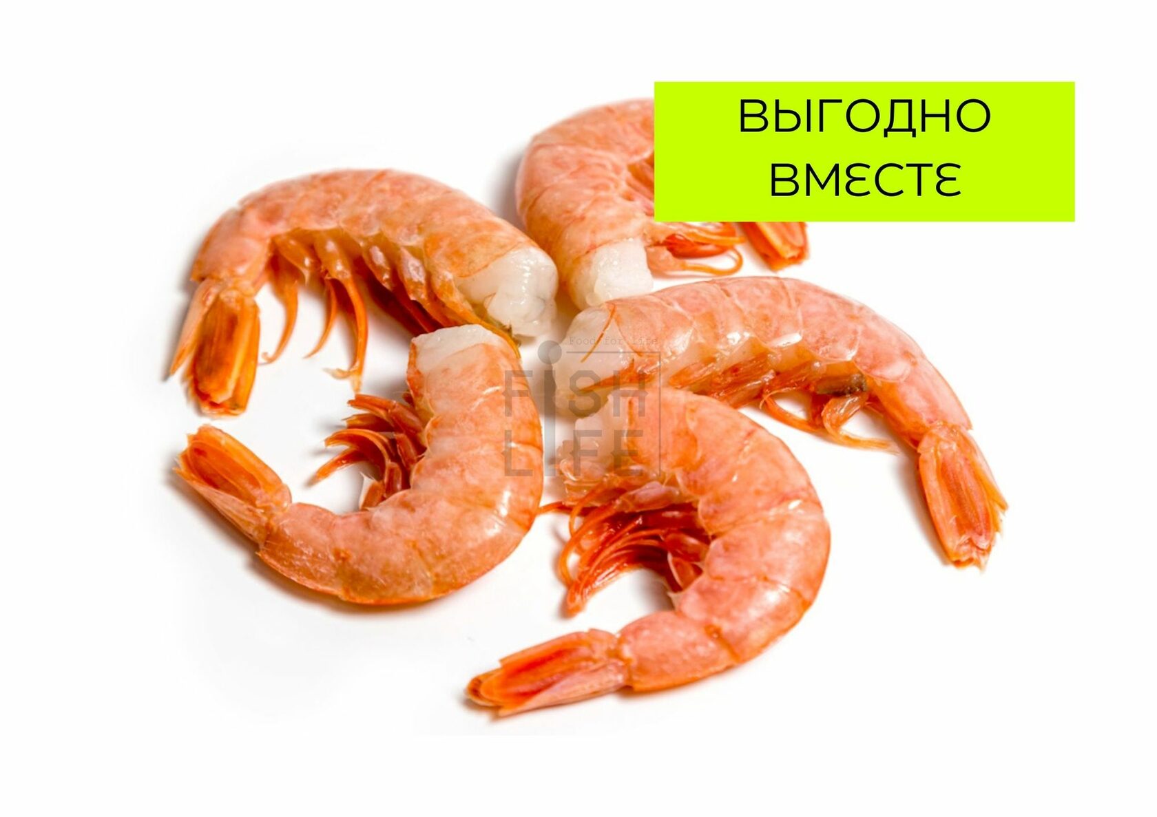 Что Такое Лангустины Фото