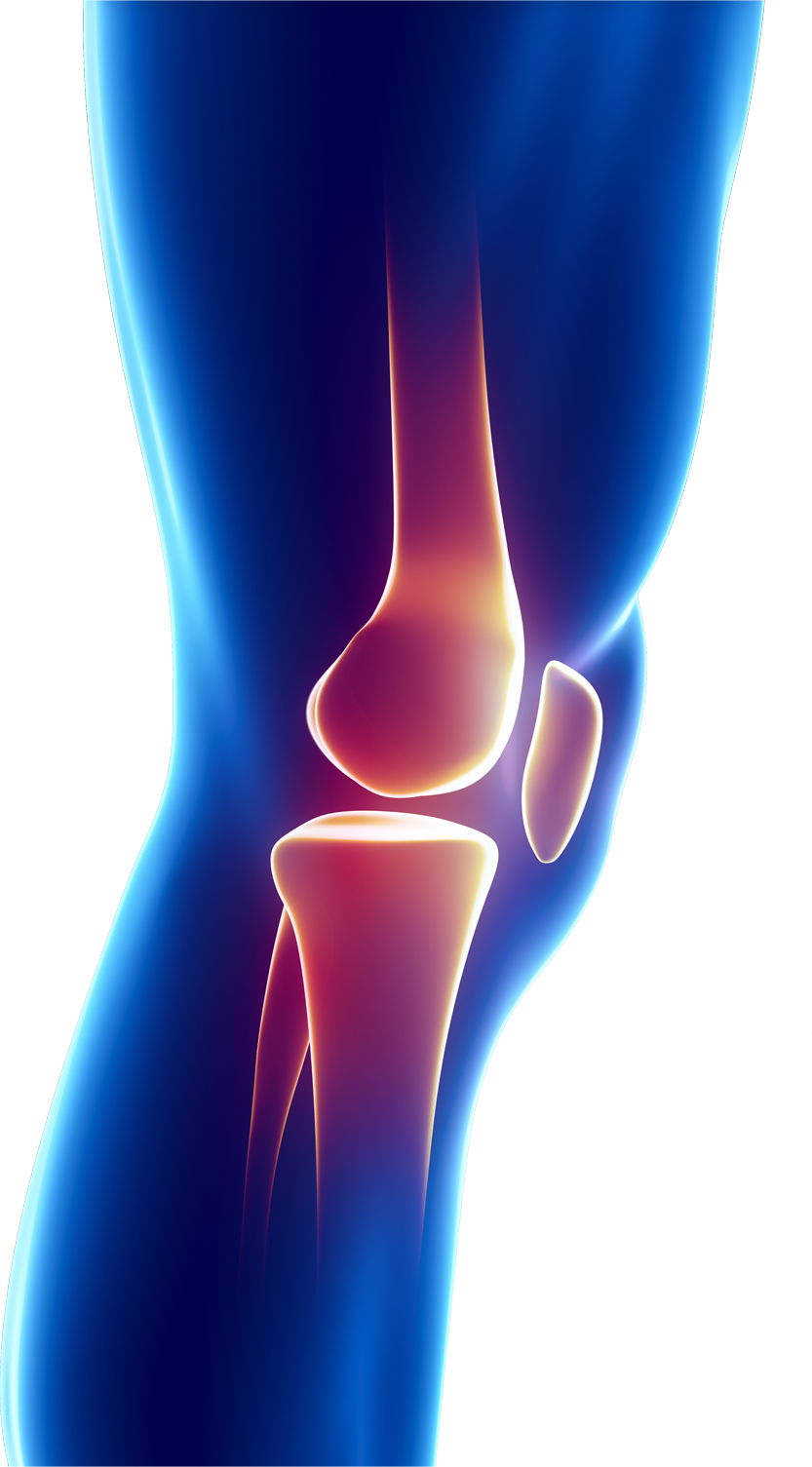 Knee joint. Колено. Суставы. Человек на коленях. Коленный сустав.