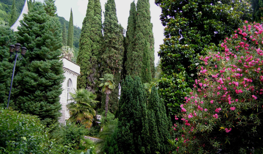 Абхазия горы природа