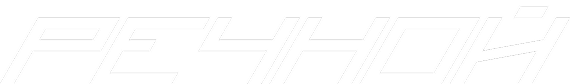 Partner 10 logo