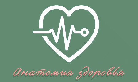 Анатомия здоровья