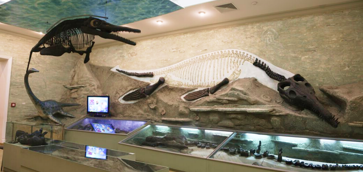 Музей естественной истории Татарстана