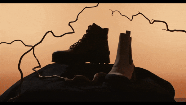 Video__#popup:mp4video1