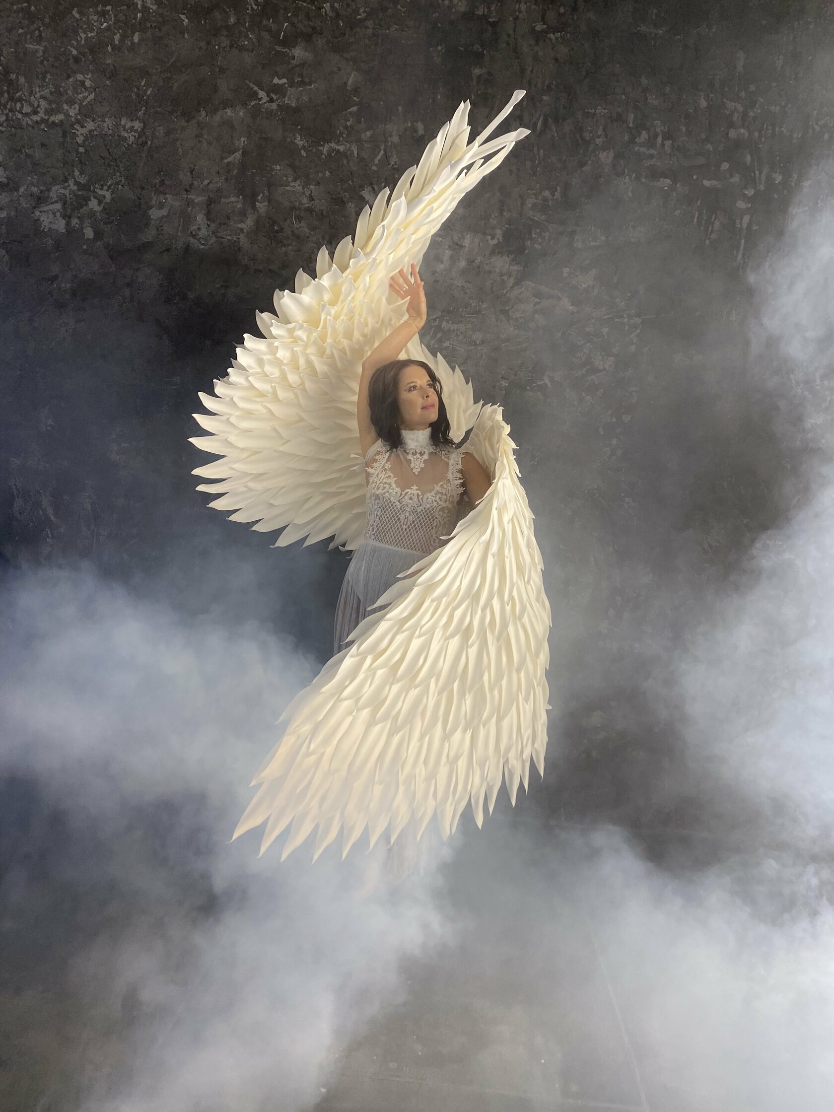 академия крылатых