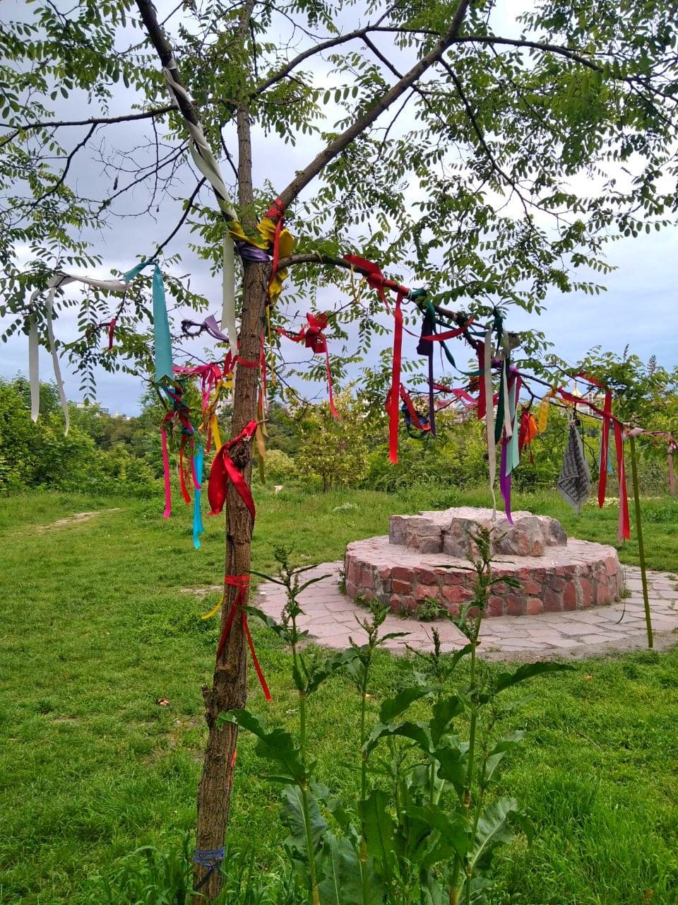 Введите описание картинки