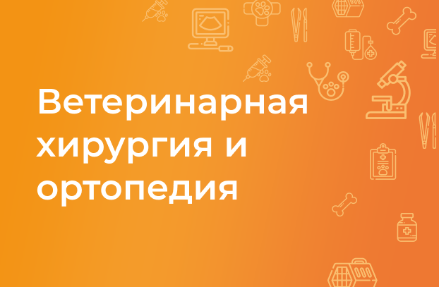 Ветеринарная хирургия, ортопедия для собак и кошек | ВЦ МЕДВЕТ Домодедово