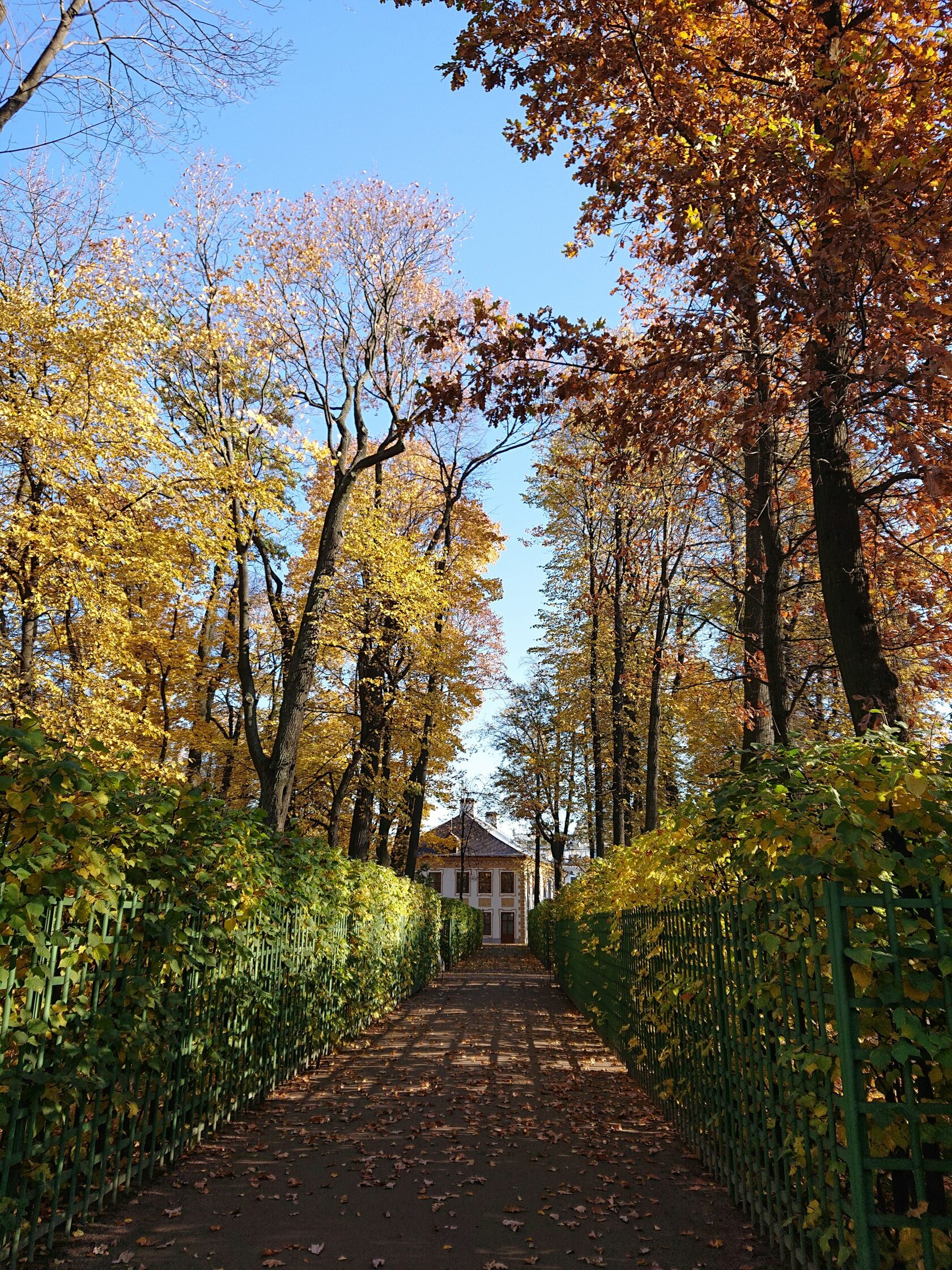 Летний сад, Россия, Санкт-Петербург, Центральный р-н, Набережная реки Мойки