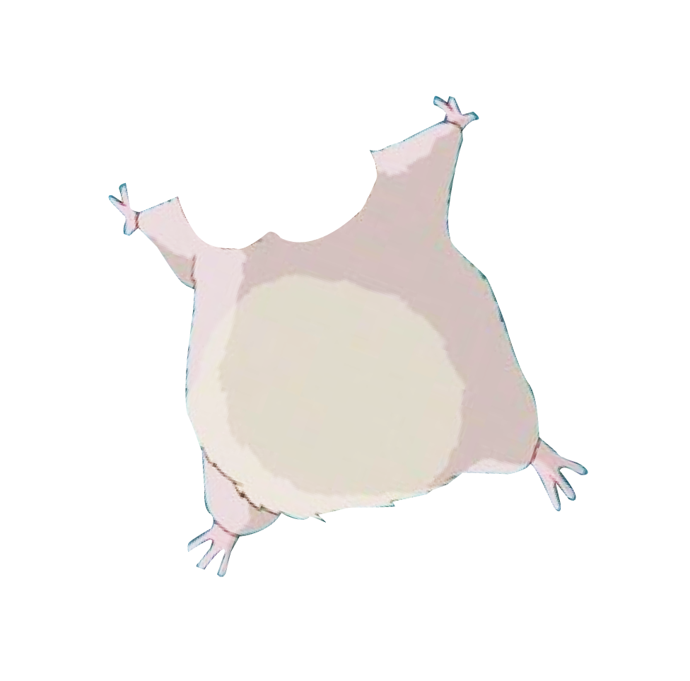 a body of a cartoon hamster