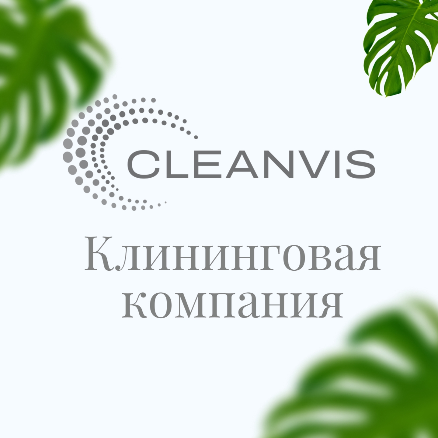CLEANVIS | u041fu0440u043eu0444u0435u0441u0441u0438u043eu043du0430u043bu044cu043du044bu0439 u043au043bu0438u043du0438u043du0433 u0432 u041cu043eu0441u043au0432u0435