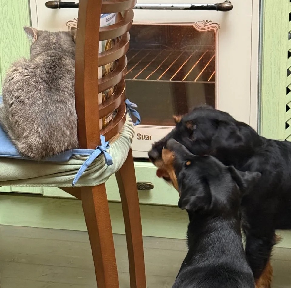 Счастливы вместе)