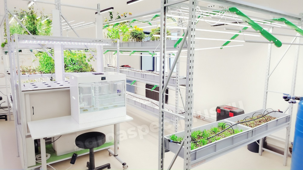 Кванториум.Ирбит, Агроквантум