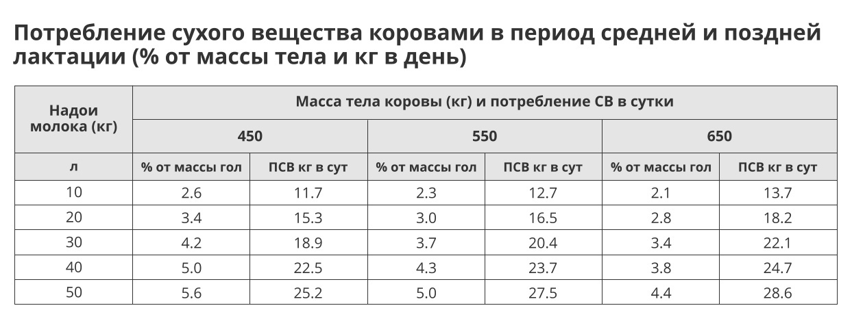 Кормление коров: методы, нормы и рационы