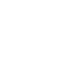 website icon
