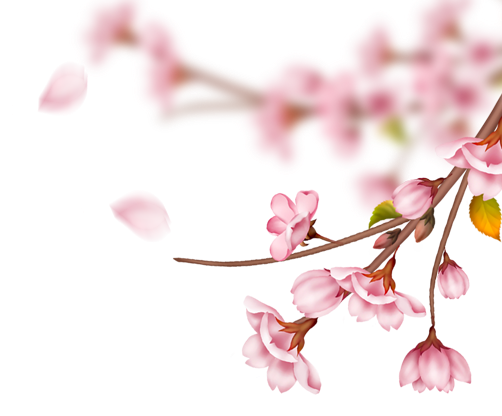 красные клены