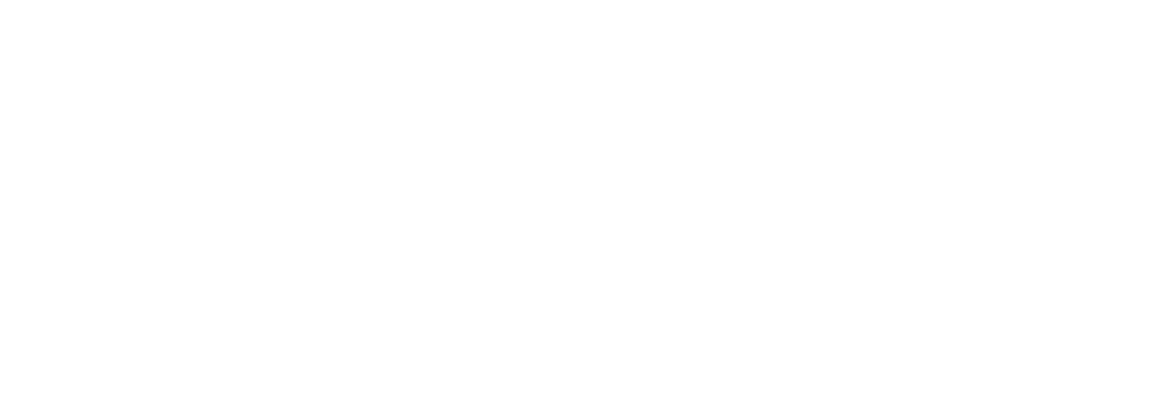 Nazarbayev University Risk-taking Inspiration Synergy