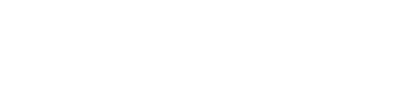 Федерация логических игр