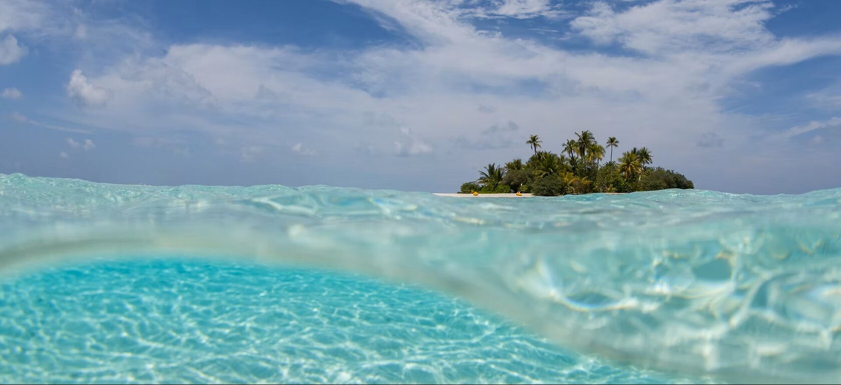 Дайвинг-сафари по Мальдивским островам