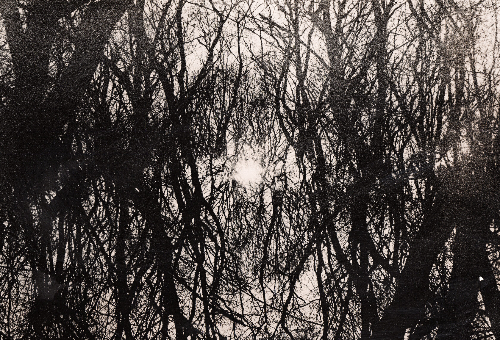 Виталь Стужка, 4D. Лит-печать