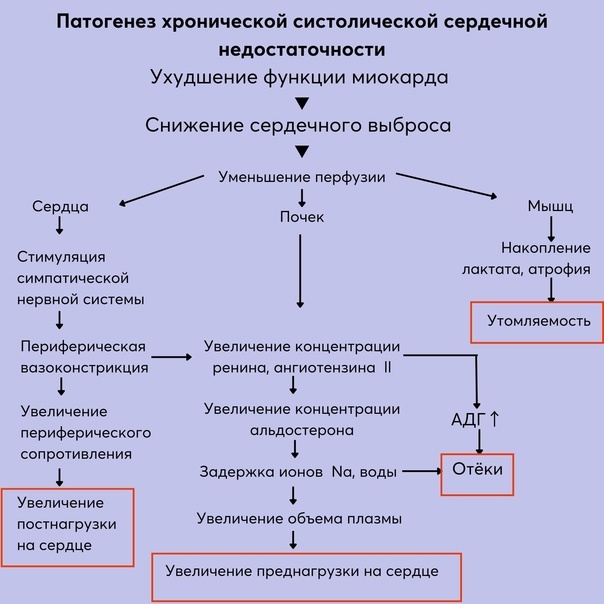 Компенсаторные механизмы при сердечной недостаточности. Виды компенсаторных механизмов при сердечной недостаточности. Компенсаторные механизмы при диареи.