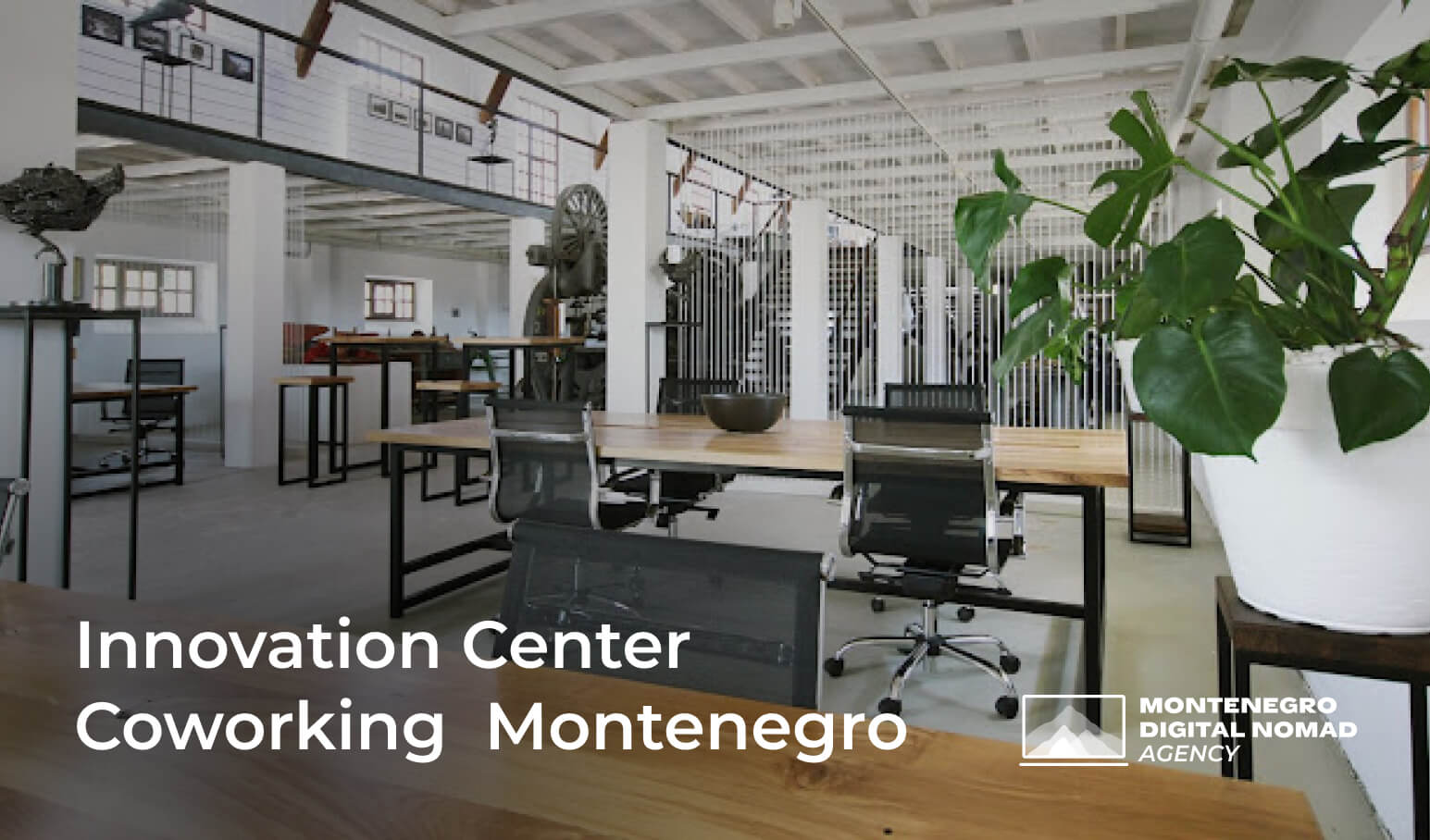 Discover the Best Coworking and Coliving Spaces in Montenegro [2023