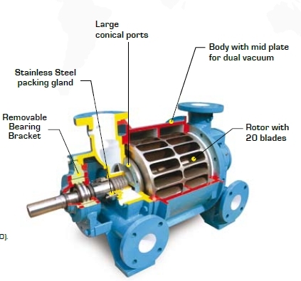Rvs Liquid Ring Vacuum Pump And Compressor Kits | Robuschi