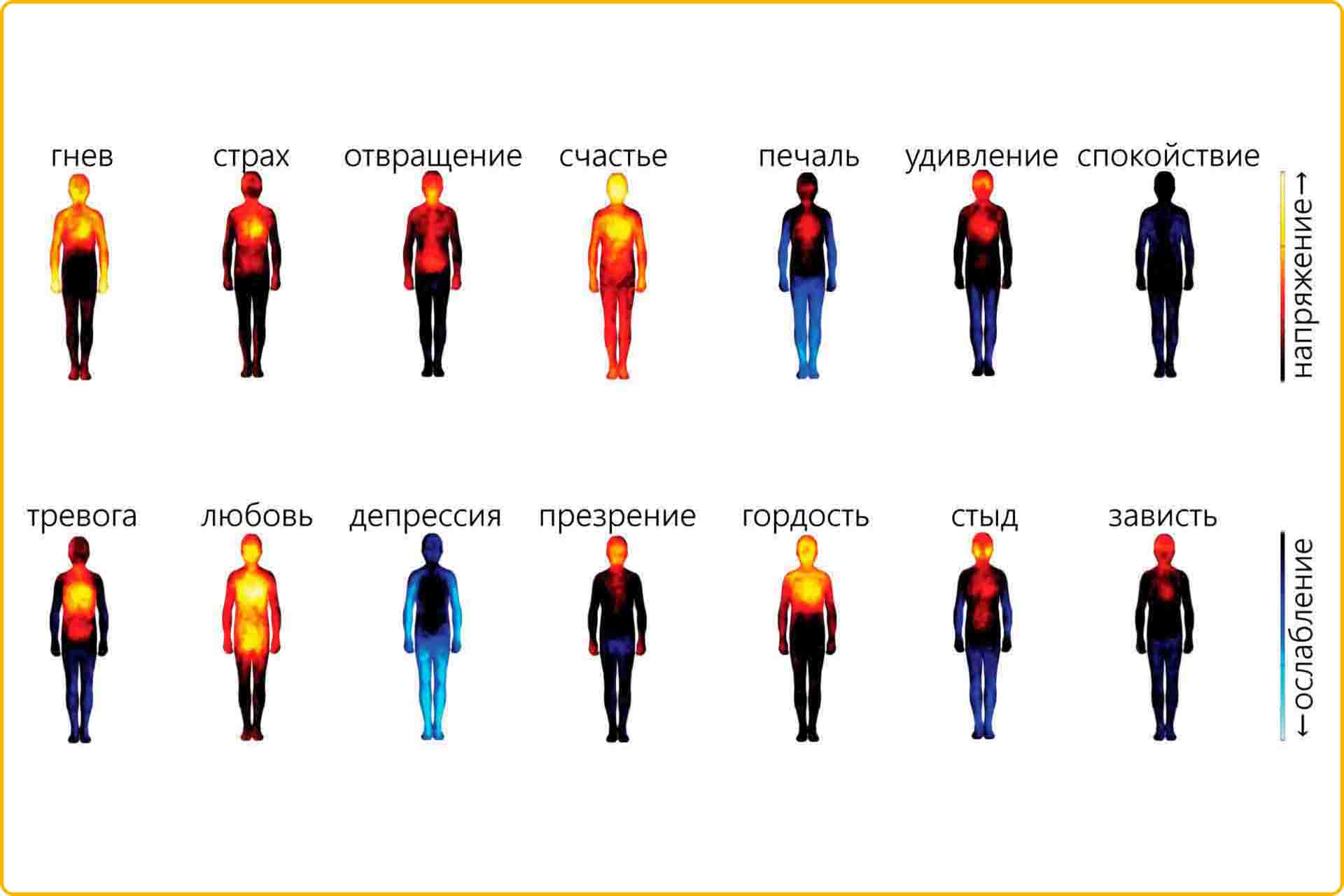 Карта эмоций на теле