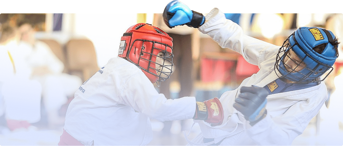 Федерация армейского рукопашного боя России