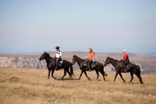 Конный прокат