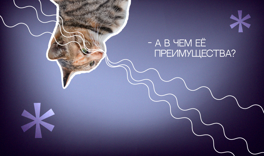 Преимущества конструктора Тильда