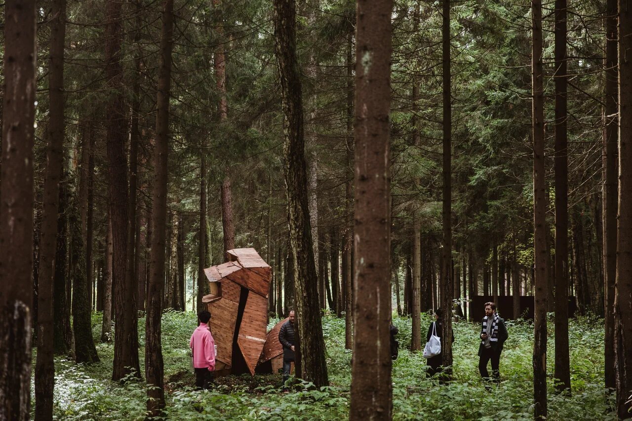 Пирогово 2019. Пирогово лес. Выставка чаща Пирогово. Изумительный красивый санаторий в лесу. Курортный в лесу летом.