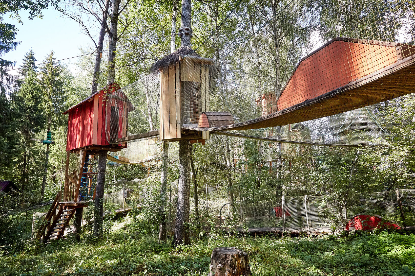 Почему веревочный парк — отличное место для корпоративов и праздников?