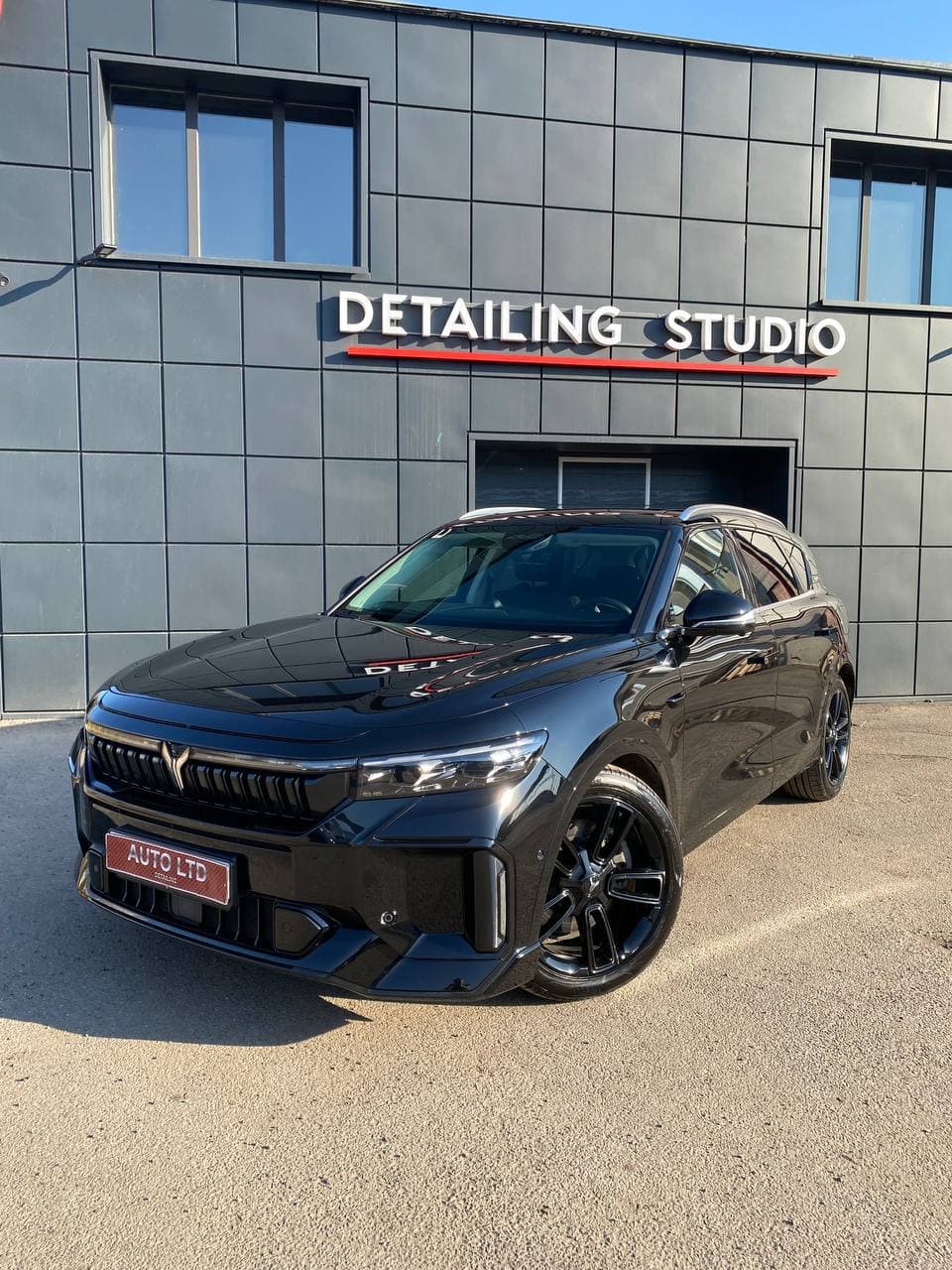 антигравийная защита автомобиля Voyah Free